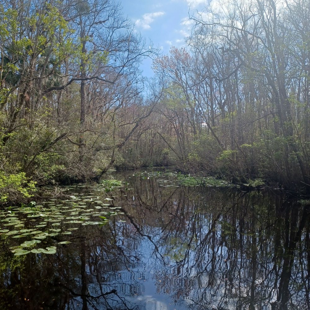 Palmetto Leaves Regional Park Image