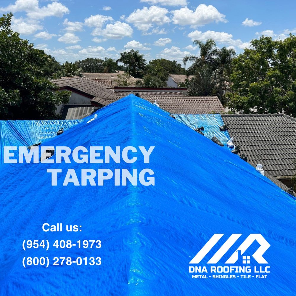 Slide of DNA Roofing