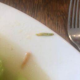A caterpillar in the steamed vegetables.