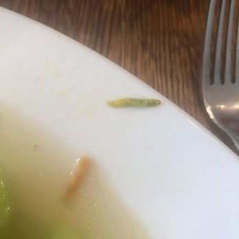 Panasia - A caterpillar in the steamed vegetables. - Pan Asian Near Me - Paris, 75