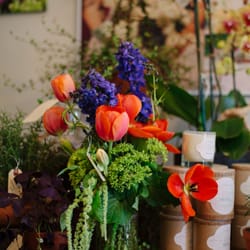 White Fig Designs