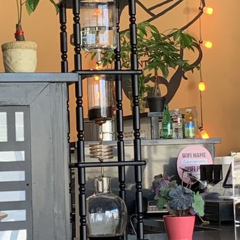 Aventurero Coffee - a plant in a pot - Coffee & Tea Near Me - Los Angeles, California Aventurero Coffee - a plant in a pot - Coffee & Tea Near Me - Los Angeles, California