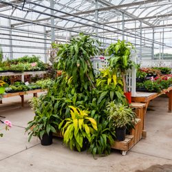 Shamrock Nursery