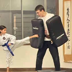 Shindokan Budo-Long Island - St Nicks Nite obstacle course kicks