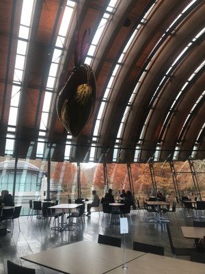 Eleven at Crystal Bridges by null