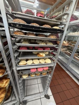 Tlaxcala Bakery Panaderia by null