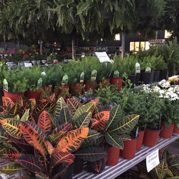 Good Earth - Farmers Market Near Me - Augusta, Georgia