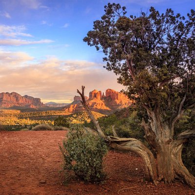 Pink Jeep Tours by null