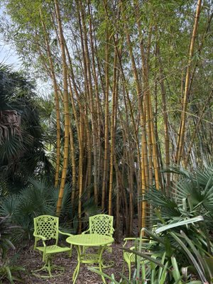Port St. Lucie Botanical Gardens by null