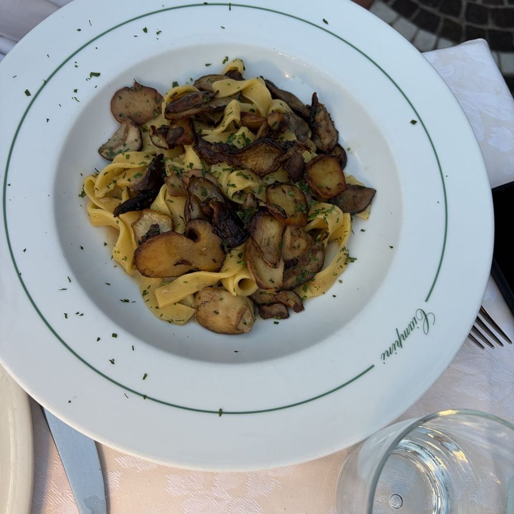 Caffè Ciampini - Fettuccine with porcini mushrooms - Cafes Near Me - Rome, RM Caffè Ciampini - Fettuccine with porcini mushrooms - Cafes Near Me - Rome, RM