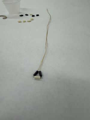 Mystic Museum of Art by null