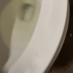 Anytime Fitness - Pee on the toilet
