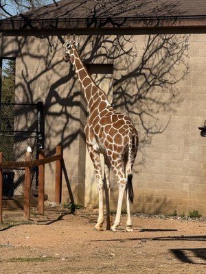 Como Park Zoo & Conservatory by null