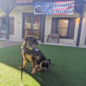 Big Dog Ranch Rescue - Veteran training program at BDRR. - Animal Shelters Near Me - Loxahatchee, Florida Big Dog Ranch Rescue - Veteran training program at BDRR. - Animal Shelters Near Me - Loxahatchee, Florida