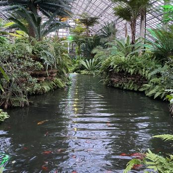 Garfield Park Conservatory - Parks Near Me - Chicago, Illinois