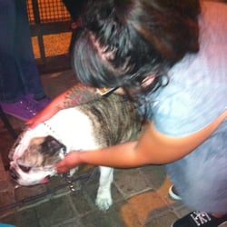 Tempe Tavern - Molly!