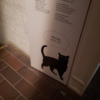 Malmöhus Slott - I just loved this cat - Museums Near Me - Malmö, Alberta