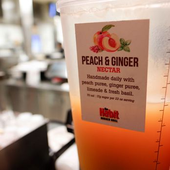 Habit Burger & Grill - cool drink. - Burgers Near Me - Dixon, California Habit Burger & Grill - cool drink. - Burgers Near Me - Dixon, California