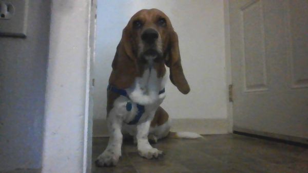 Kunsmiller Creative Arts Academy