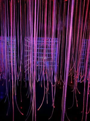 Otherworld Philadelphia by null