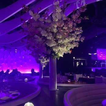 STK Steakhouse Bellevue - Steakhouses Near Me - Bellevue, Washington