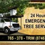 Photo of Josh Newsome's Tree Surgery