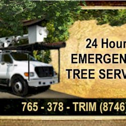Josh Newsome's Tree Surgery - Logo
