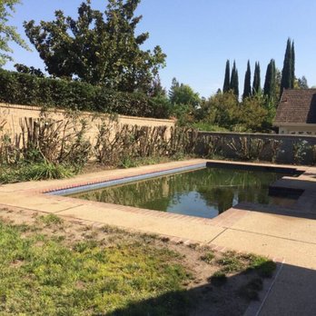 Environmental Tree Service - Tree Services Near Me - Sacramento, California