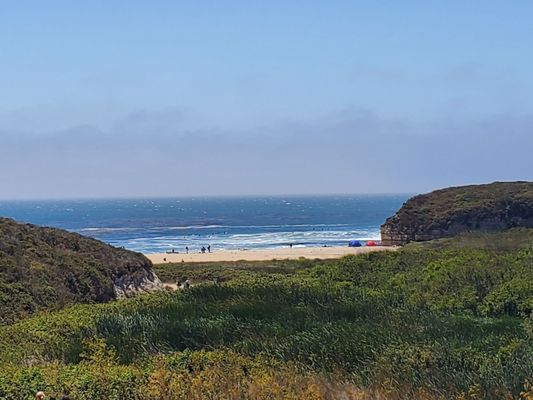 Four Mile Beach by null