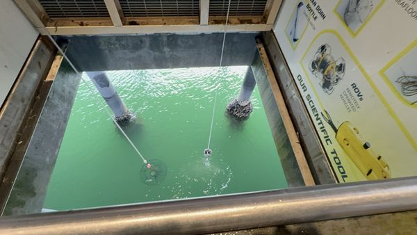 Santa Barbara Museum of Natural History Sea Center by null