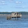 Aquia Landing