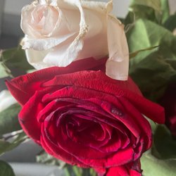 Bird's Florist - Dying roses