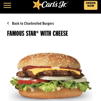 Carl's Jr - What I thought I ordered. - Fast Food Near Me - Phoenix, Arizona