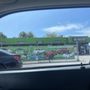 Photo of Coast to Coast Customs