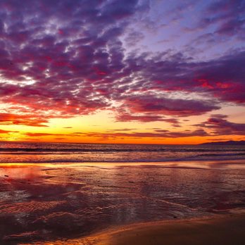 Dockweiler State Beach 941 Photos 452 Avis Plages 12001