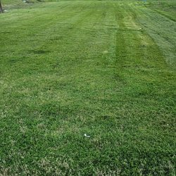 Texas Lawn Services