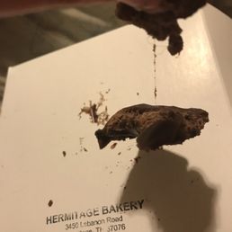 Chocolate chocolate bon bons. Over 2 weeks and no mold... also took it apart and found a good amount of hair in it!