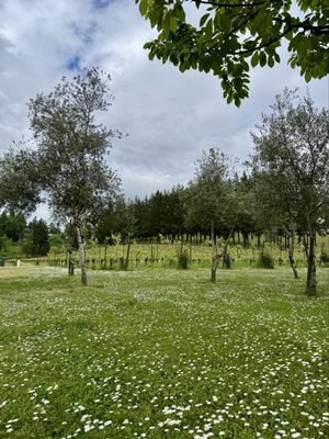 Remy Wines by null