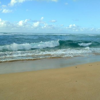 Laniakea Beach - Bonus points if you can spot the little bird in this photo! - Beaches Near Me - Haleiwa, Hawaii Laniakea Beach - Bonus points if you can spot the little bird in this photo! - Beaches Near Me - Haleiwa, Hawaii