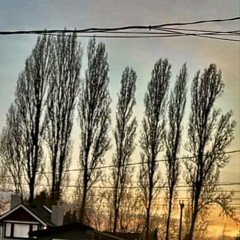 Vancouver City - Parks Near Me - Vancouver, British Columbia Vancouver City - Parks Near Me - Vancouver, British Columbia