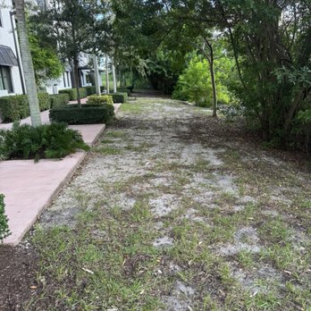 Monarch Station - Grass for dogs - Apartments Near Me - Coconut Creek, Florida Monarch Station - Grass for dogs - Apartments Near Me - Coconut Creek, Florida