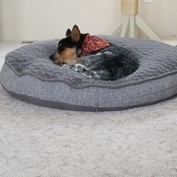 He's so tired when he gets home from having so much fun!
