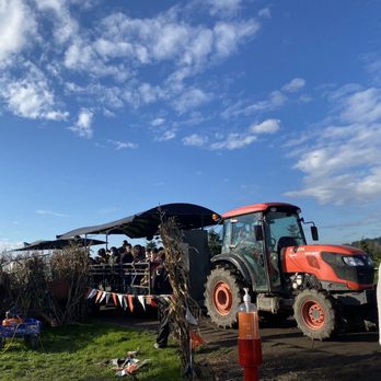 Stocker Farms - Tractor - Christmas Trees Near Me - Snohomish, Washington Stocker Farms - Tractor - Christmas Trees Near Me - Snohomish, Washington