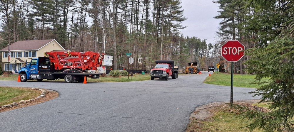 Richard Sears Tree Experts - tree service in Glens Falls, NY