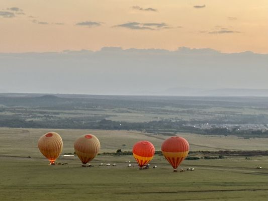 Lion World Travel by null