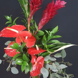 Just Petaling Flower & Gift Shop