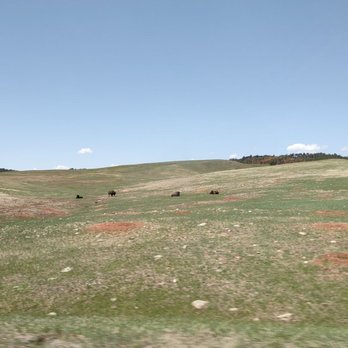 Wind Cave National Park - The groundhog holes are looking red! - Hiking Near Me - Hot Springs, South Dakota Wind Cave National Park - The groundhog holes are looking red! - Hiking Near Me - Hot Springs, South Dakota