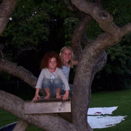 Emandal - Playing in the apple tree fort. - Guest Houses Near Me - Willits, California