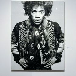 Long-Sharp Gallery