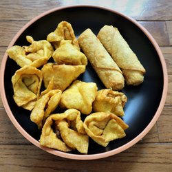 Dragon House - Pork egg rolls (didn't taste any pork, just veggie), fried wonton - ok.